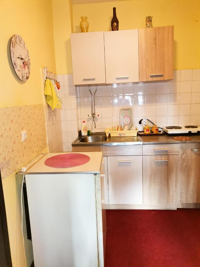 Apartment Andjela 兹拉蒂博尔 外观 照片