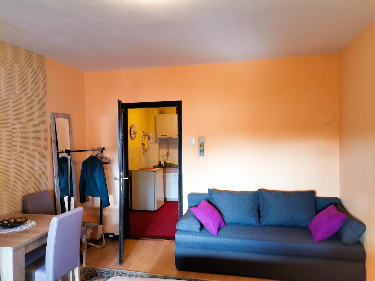 Apartment Andjela 兹拉蒂博尔 外观 照片