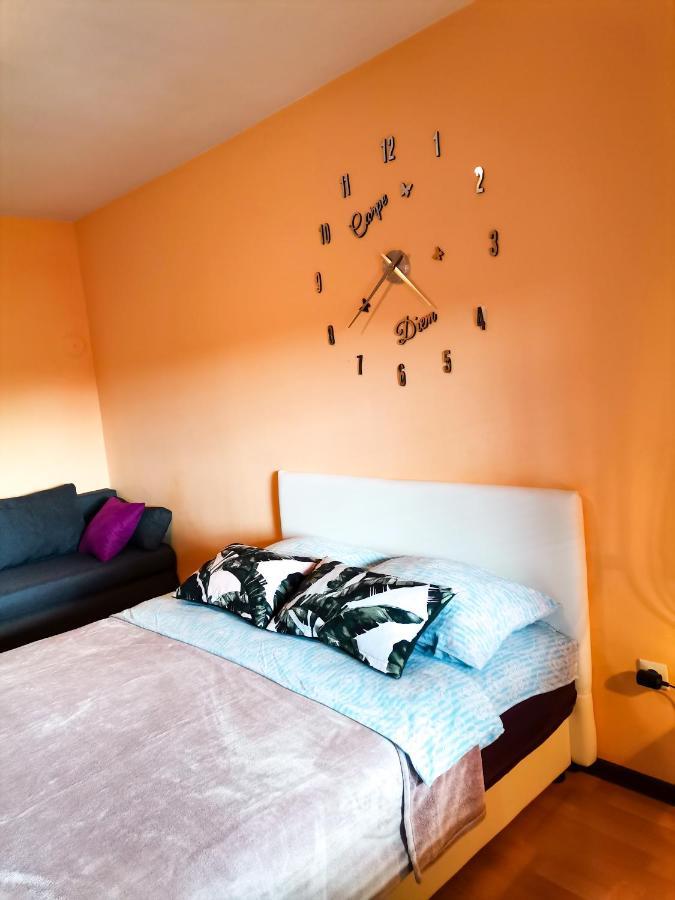Apartment Andjela 兹拉蒂博尔 外观 照片