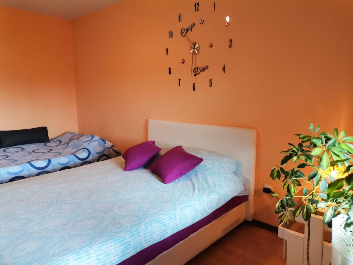 Apartment Andjela 兹拉蒂博尔 外观 照片