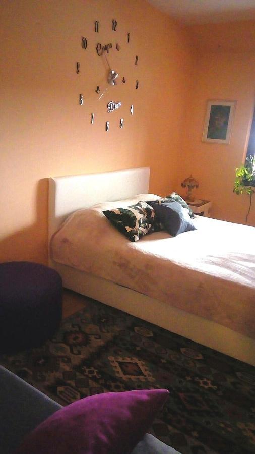 Apartment Andjela 兹拉蒂博尔 外观 照片