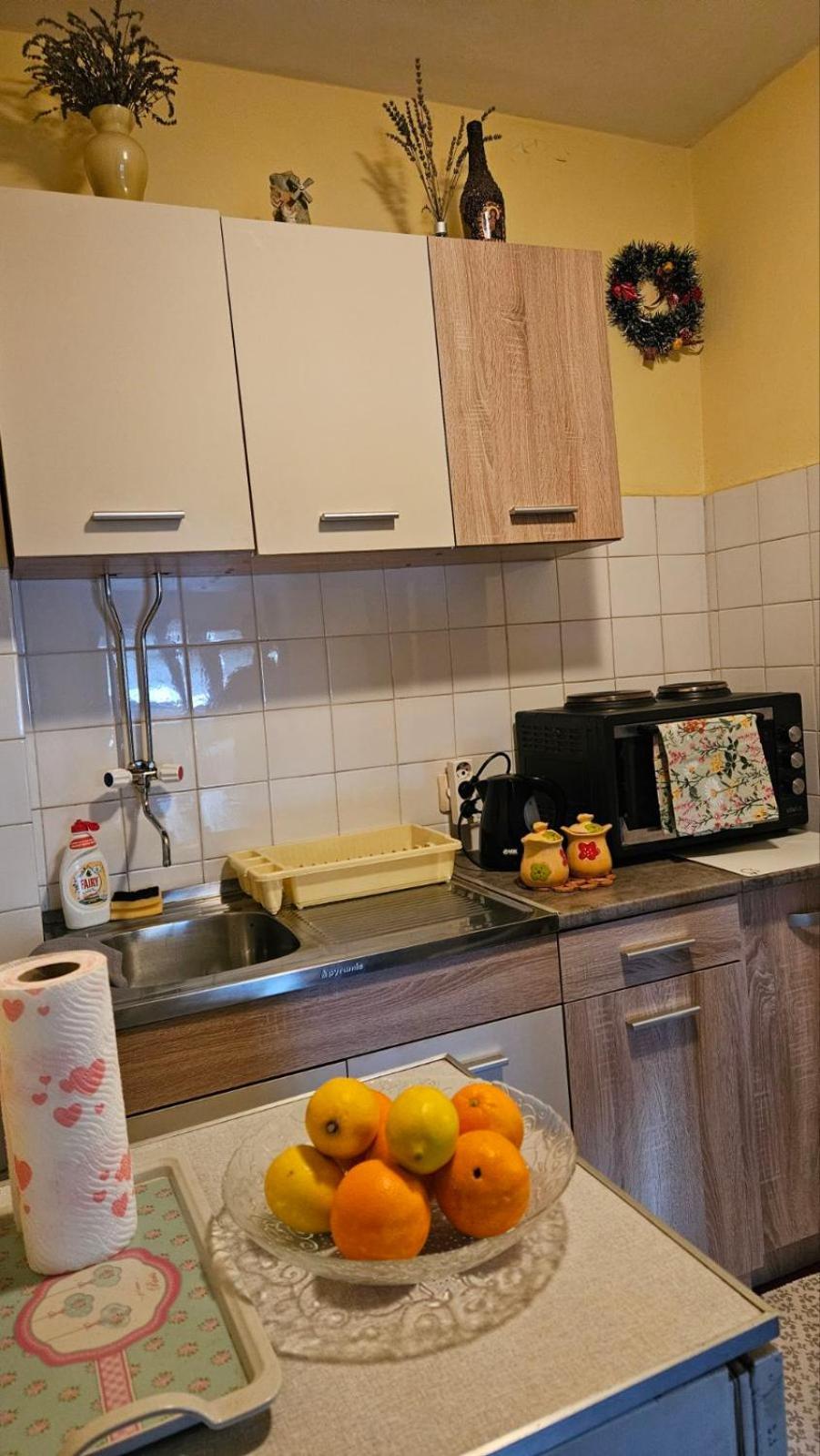 Apartment Andjela 兹拉蒂博尔 外观 照片