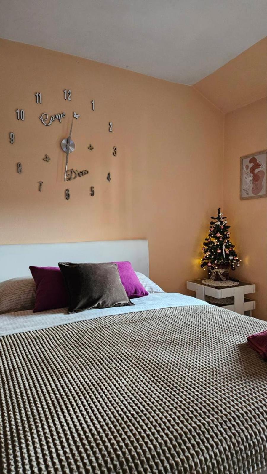 Apartment Andjela 兹拉蒂博尔 外观 照片