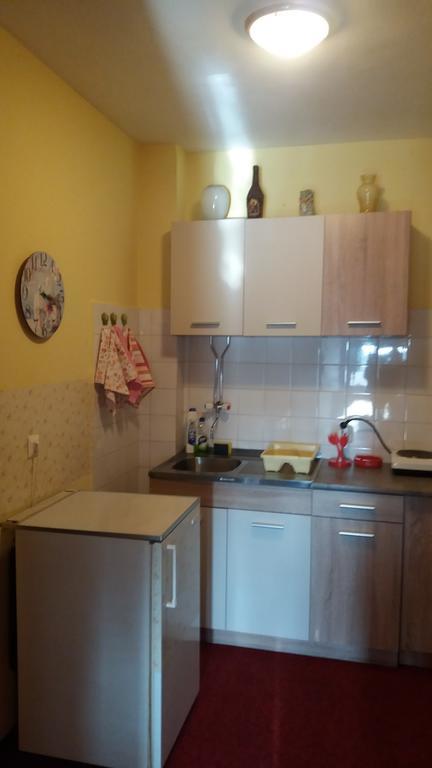 Apartment Andjela 兹拉蒂博尔 外观 照片